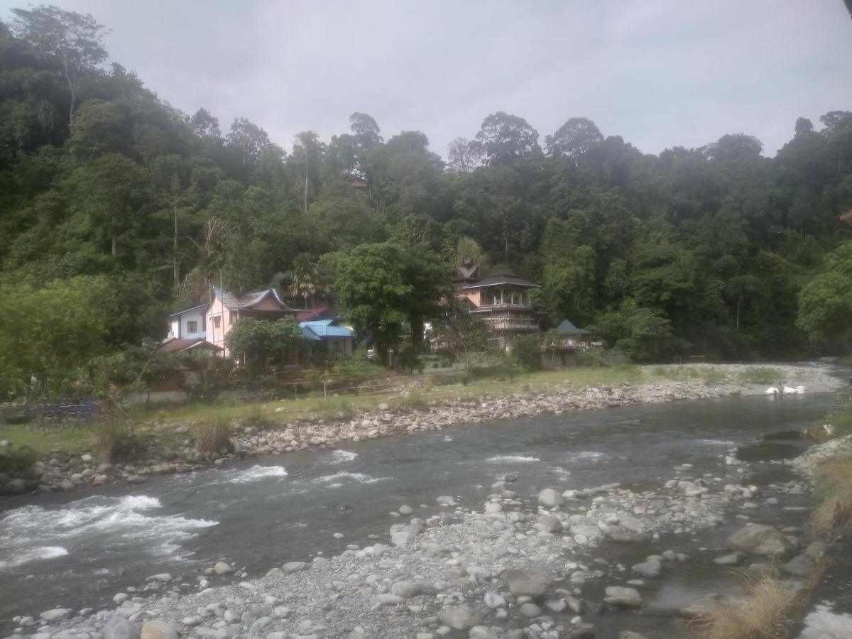 Umiyuki Jungle Tour Only Treking With As Hotel Букит Лаванг Екстериор снимка