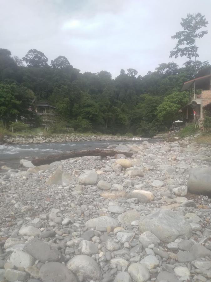 Umiyuki Jungle Tour Only Treking With As Hotel Букит Лаванг Екстериор снимка